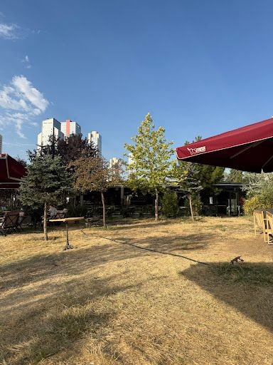 Yorum fotoğrafı 8