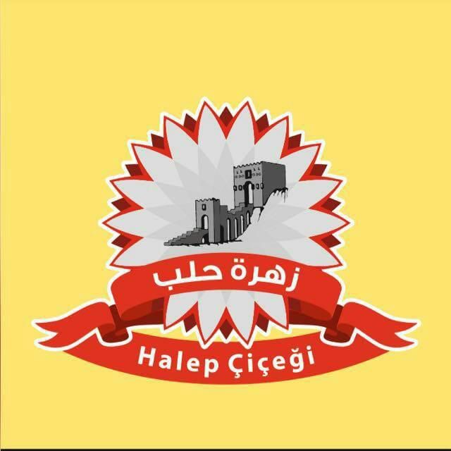 Fotoğraf 16