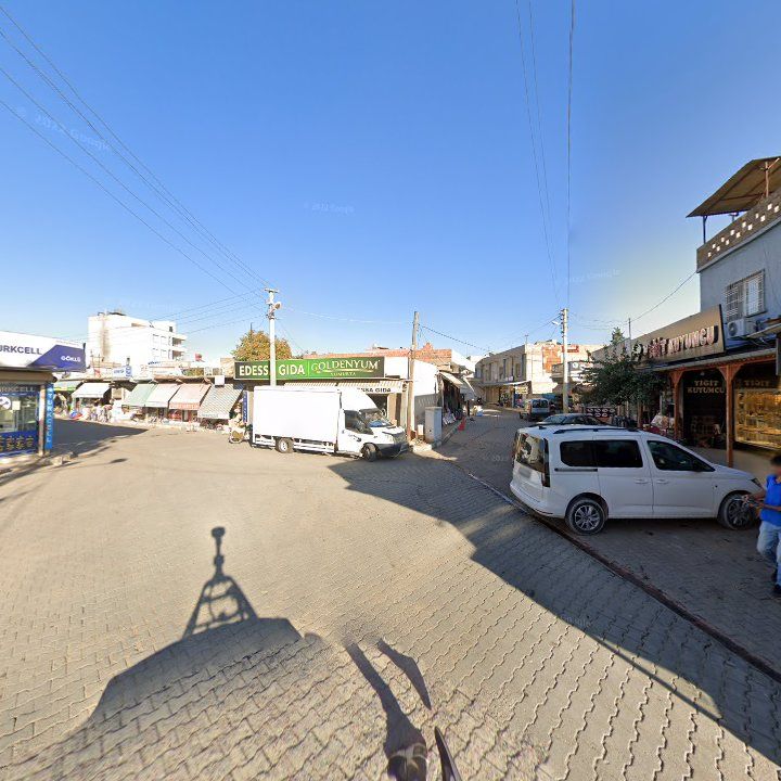 Fotoğraf 3