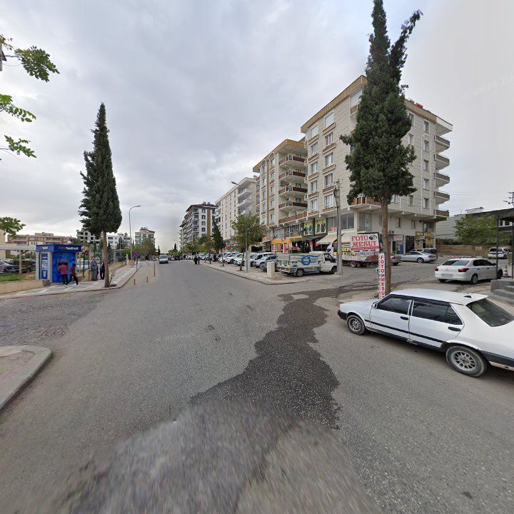 Fotoğraf 7