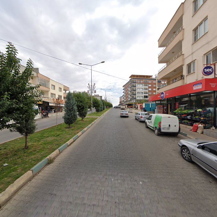 Fotoğraf 2