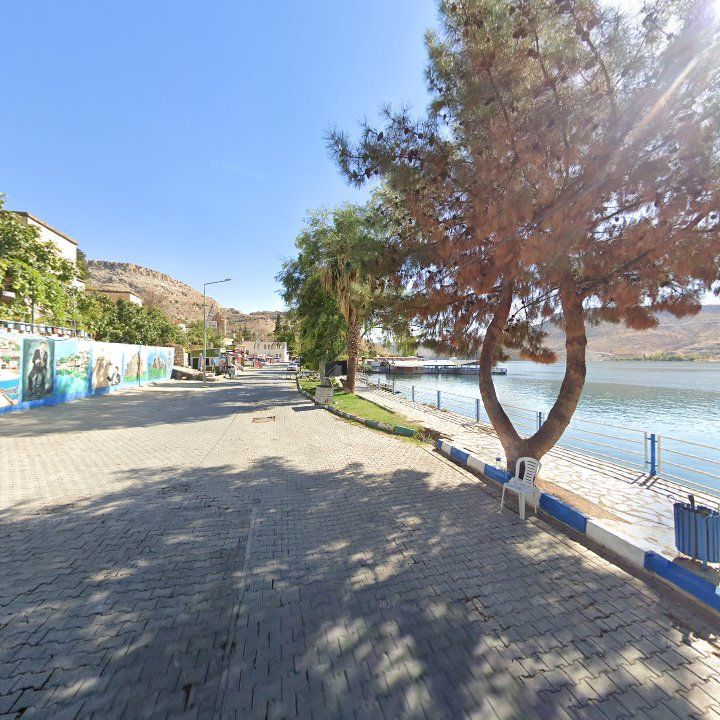 Fotoğraf 12