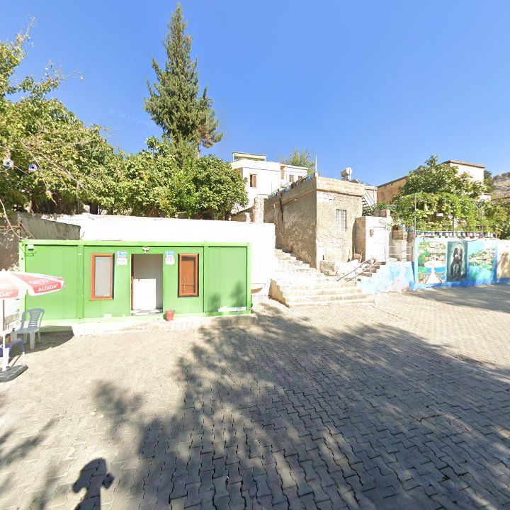 Fotoğraf 11