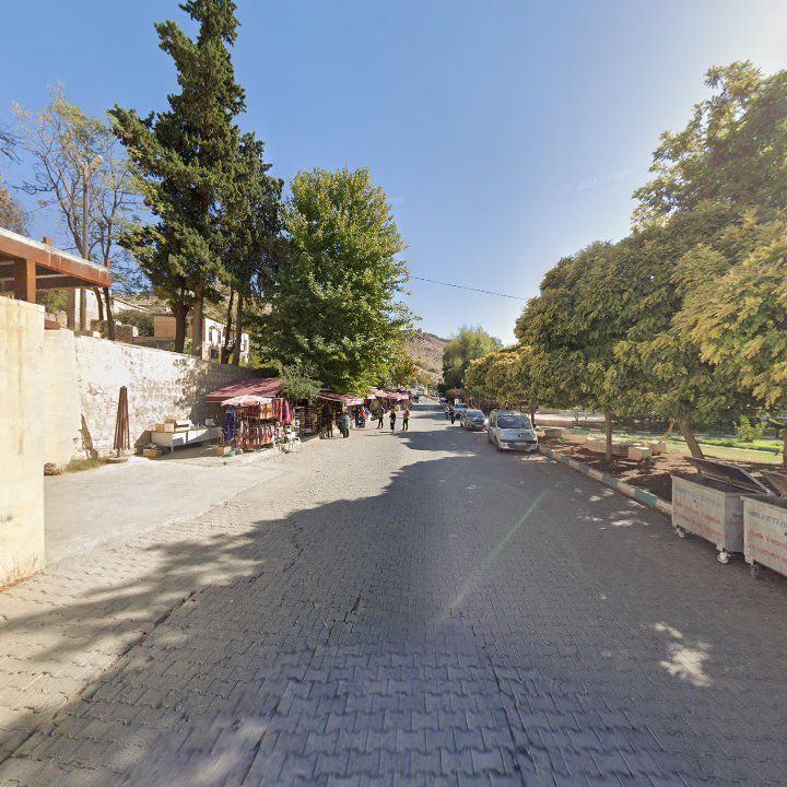 Fotoğraf 12