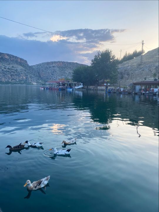 Yorum fotoğrafı 3