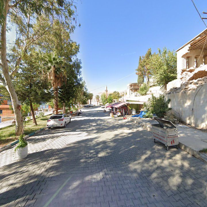 Fotoğraf 9