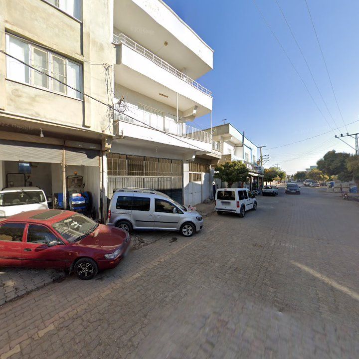 Fotoğraf 3
