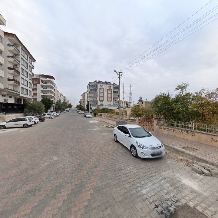 Fotoğraf 6