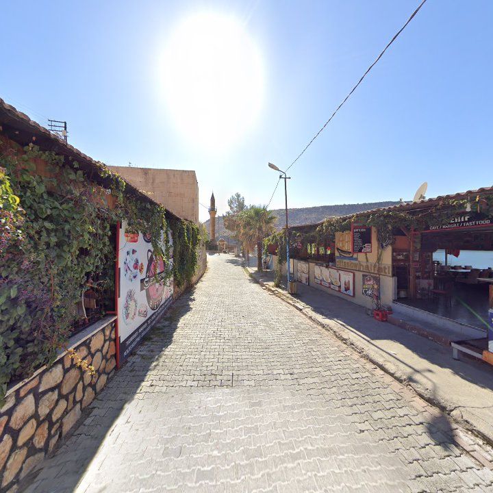 Fotoğraf 11