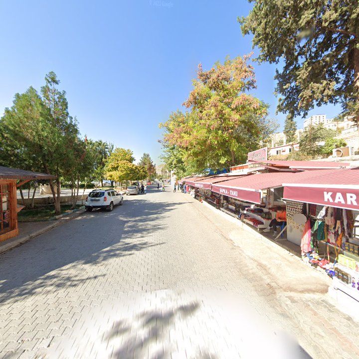 Fotoğraf 9