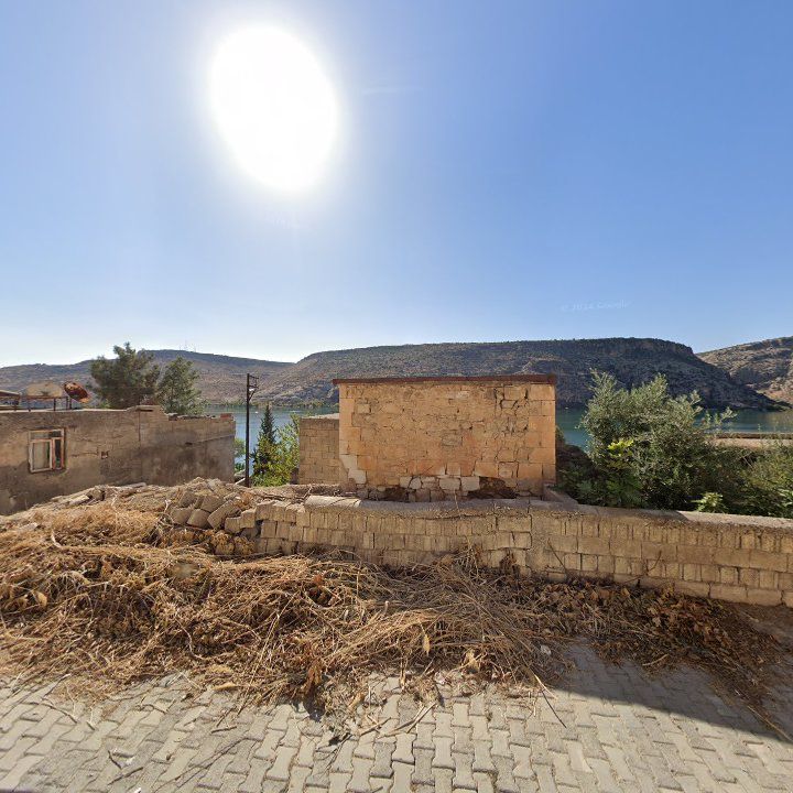 Fotoğraf 9