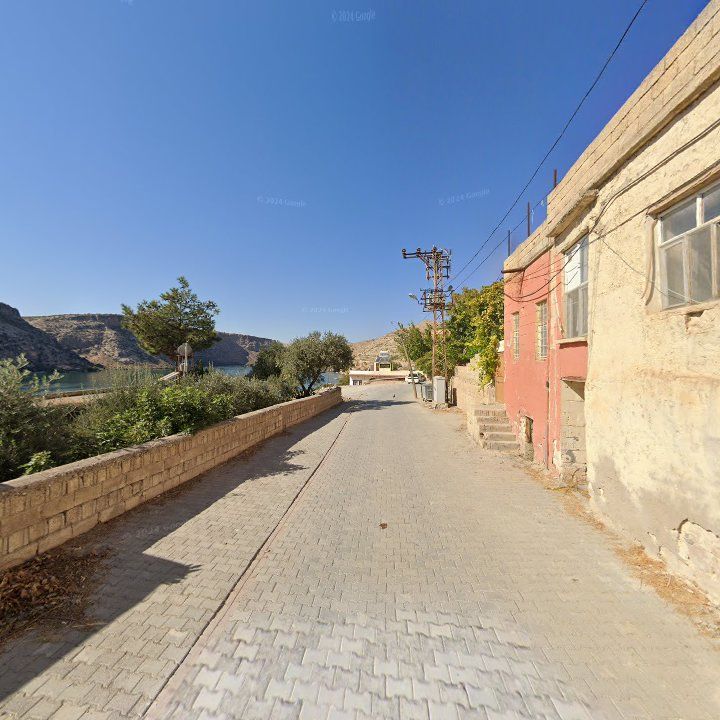 Fotoğraf 10