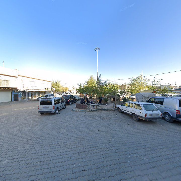 Fotoğraf 6