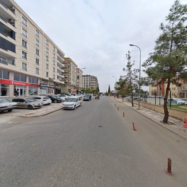 Fotoğraf 5