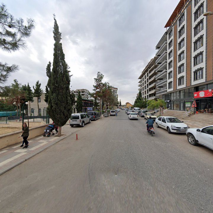 Fotoğraf 7