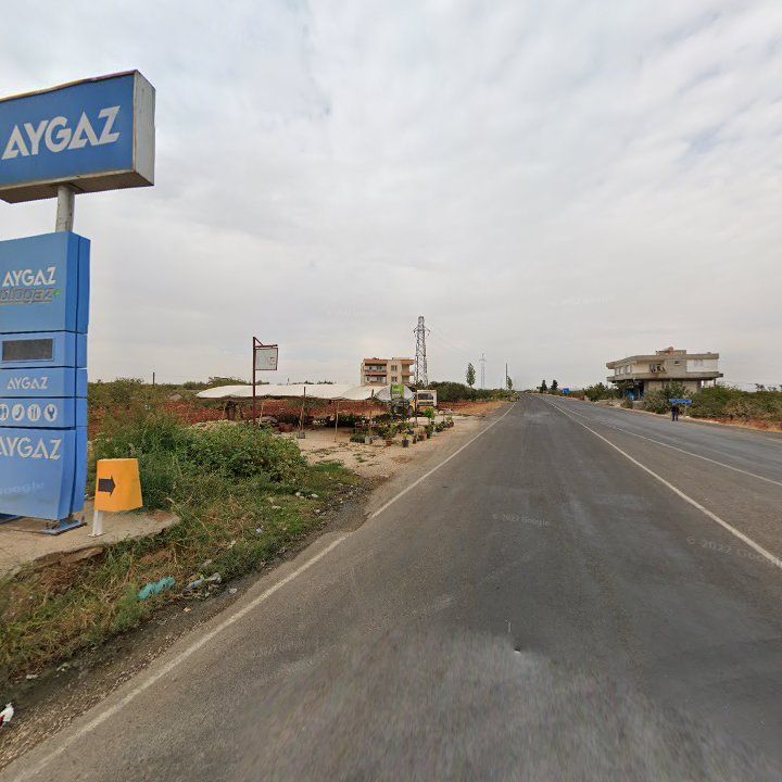 Fotoğraf 7