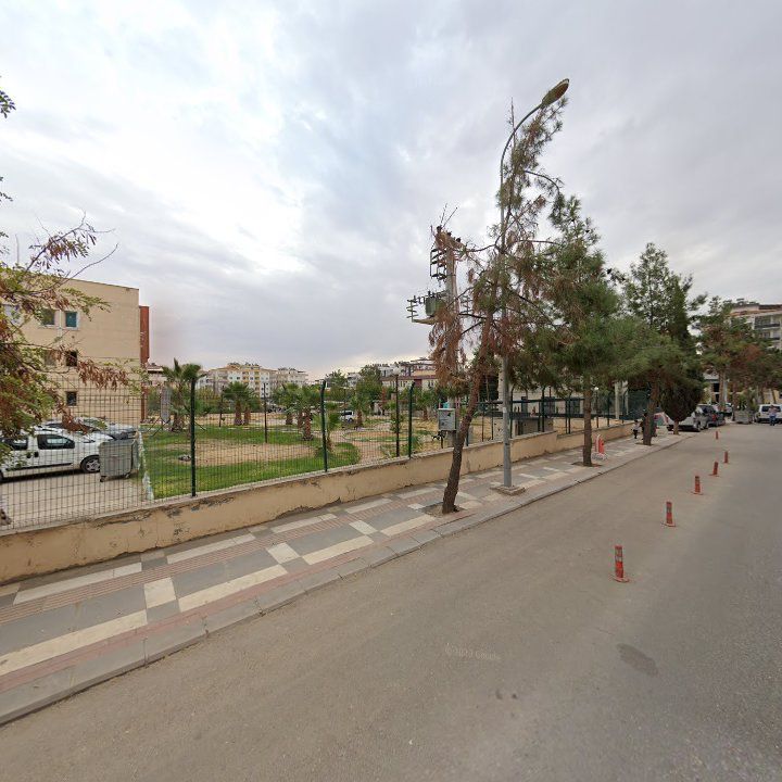 Fotoğraf 6