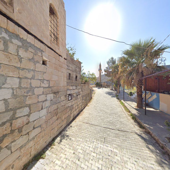 Fotoğraf 9