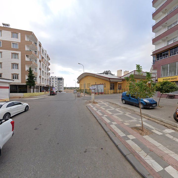 Fotoğraf 12