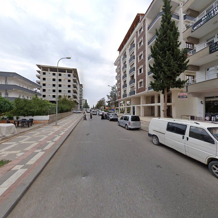 Fotoğraf 10