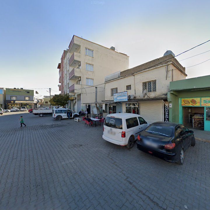 Fotoğraf 8