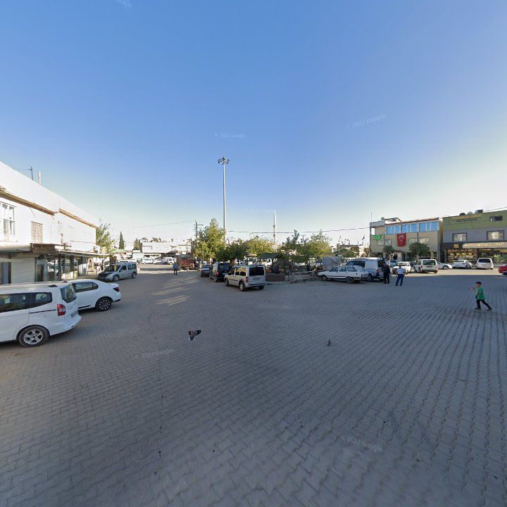 Fotoğraf 7