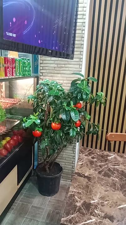 Fotoğraf 22