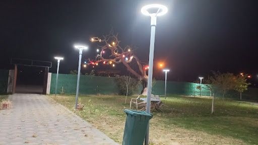 Fotoğraf 16
