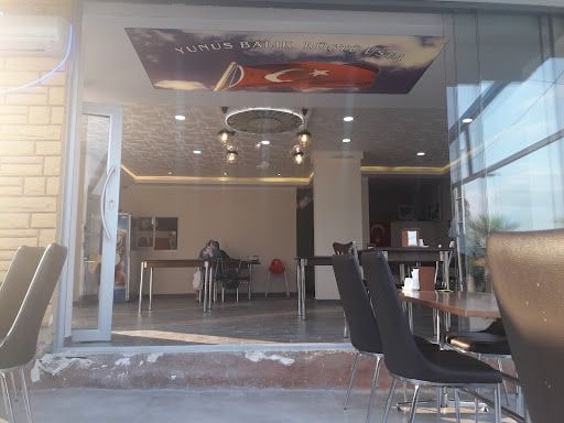 Fotoğraf 15