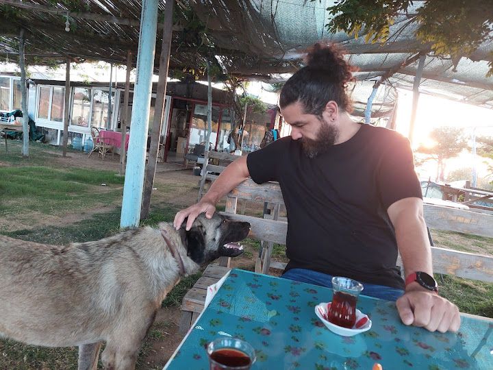 Yorum fotoğrafı 1
