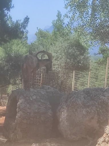 Yorum fotoğrafı 9