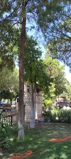 Fotoğraf 16