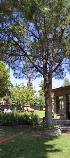 Fotoğraf 17