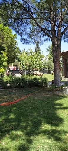 Fotoğraf 18