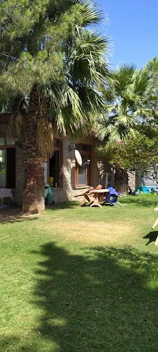 Fotoğraf 21