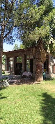 Fotoğraf 22