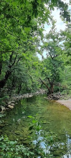 Yorum fotoğrafı 10