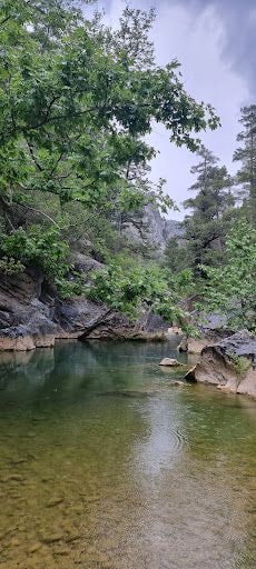Yorum fotoğrafı 7