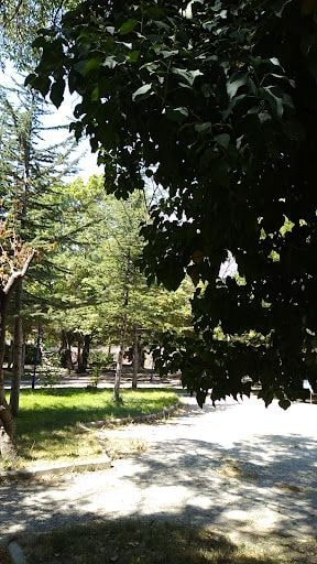 Yorum fotoğrafı 10