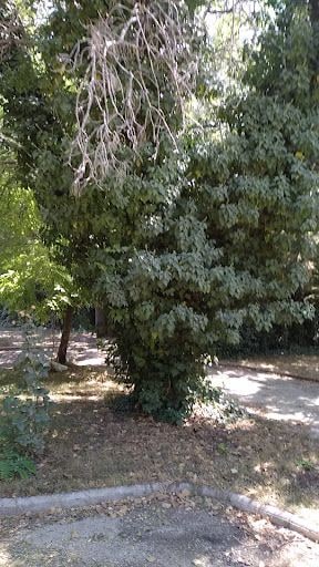 Yorum fotoğrafı 6