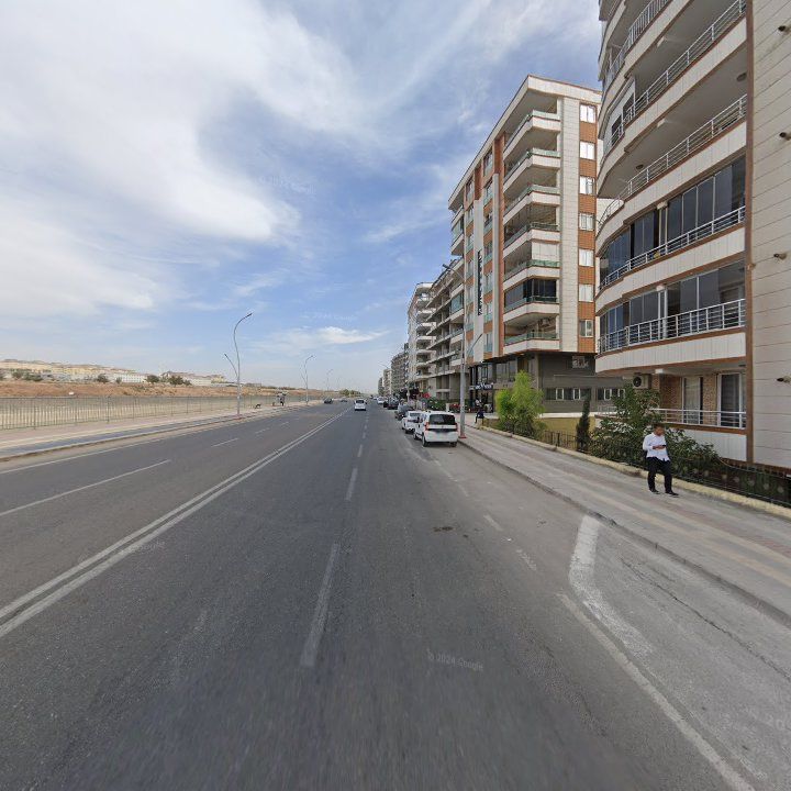 Fotoğraf 12