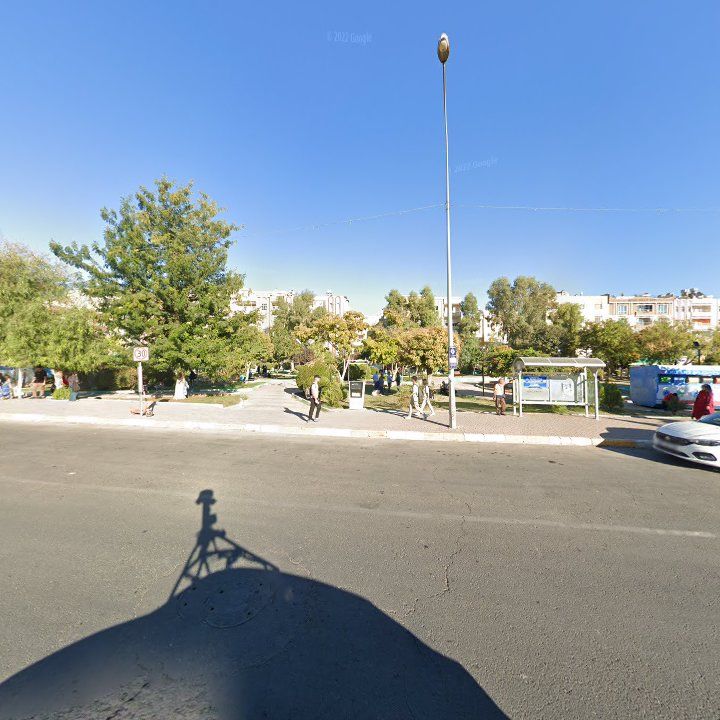 Fotoğraf 9