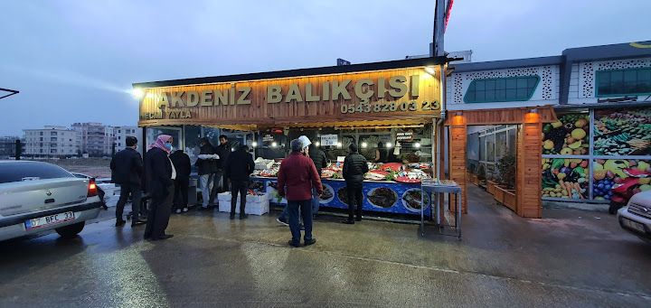 Akdeniz balikcisi