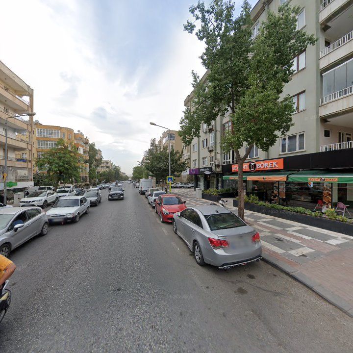 Fotoğraf 10