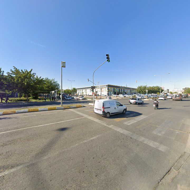 Fotoğraf 13