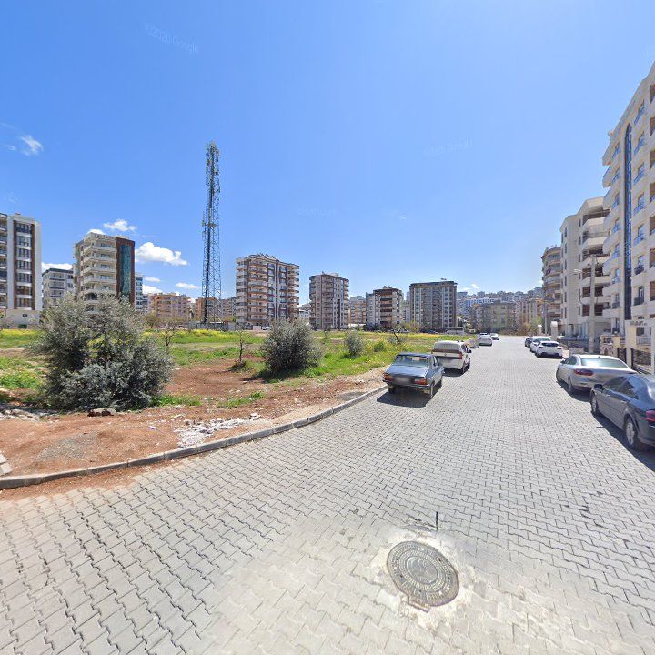 Fotoğraf 7