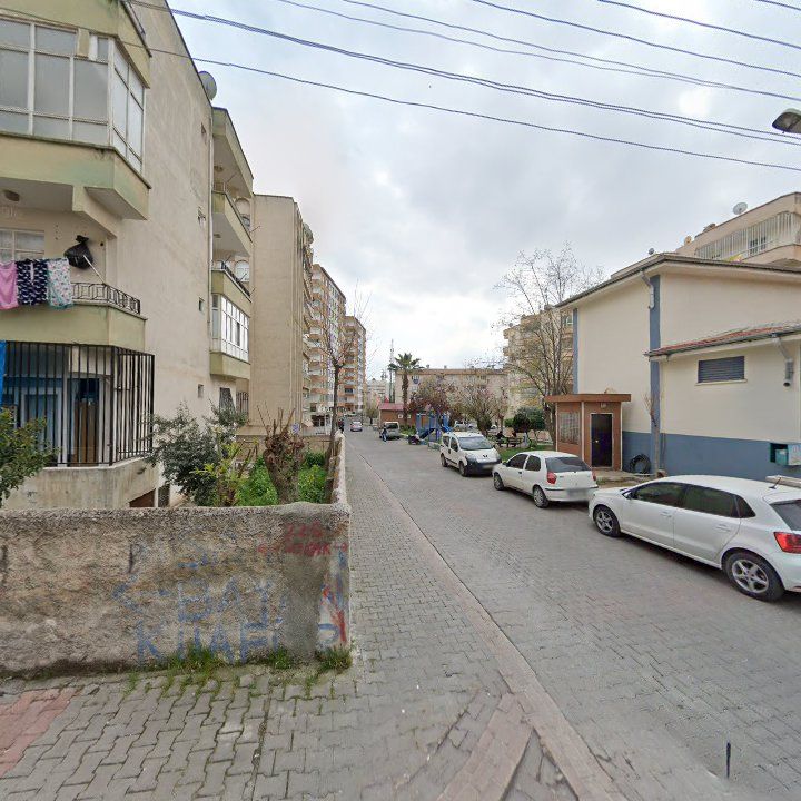 Fotoğraf 9