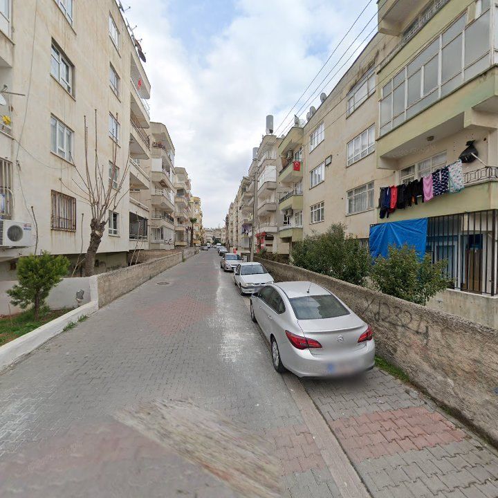 Fotoğraf 8