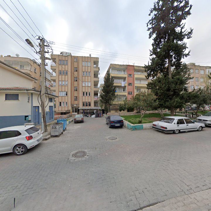 Fotoğraf 10