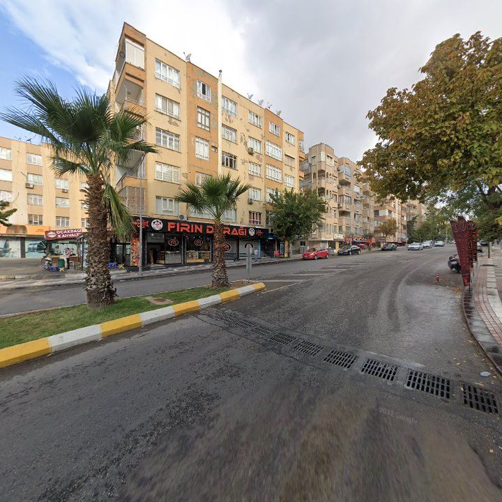 Fotoğraf 11